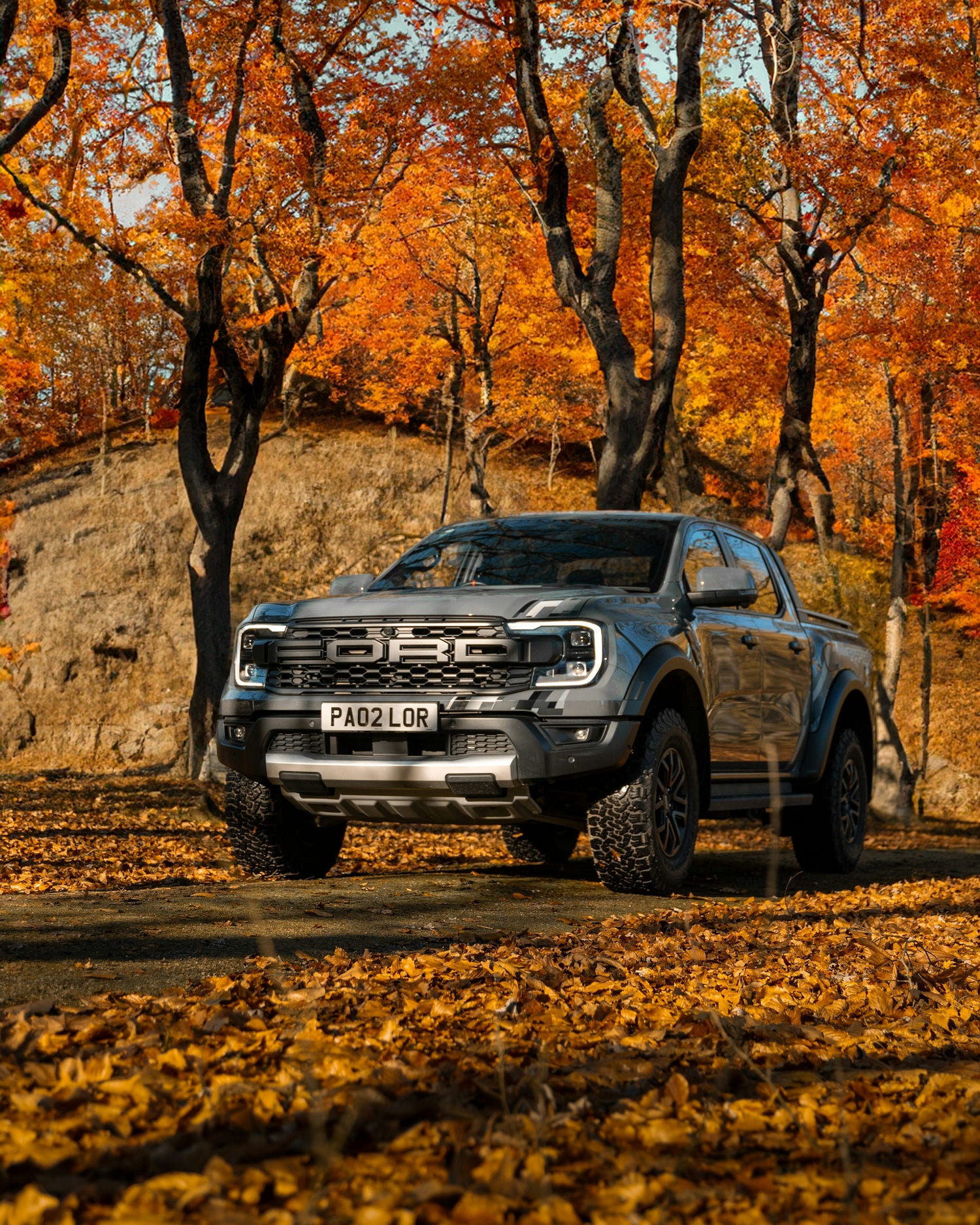 Ford Ranger - Elite Ti