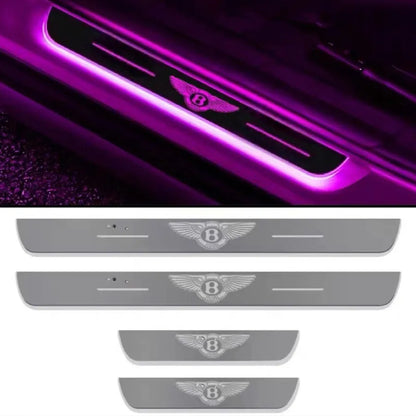 LED Door Sill