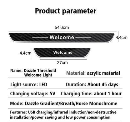 LED Door Sill