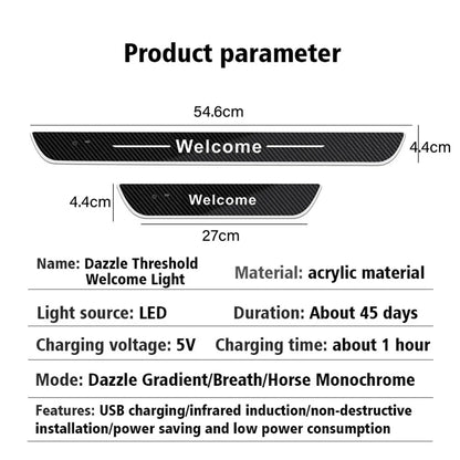 LED Door Sill