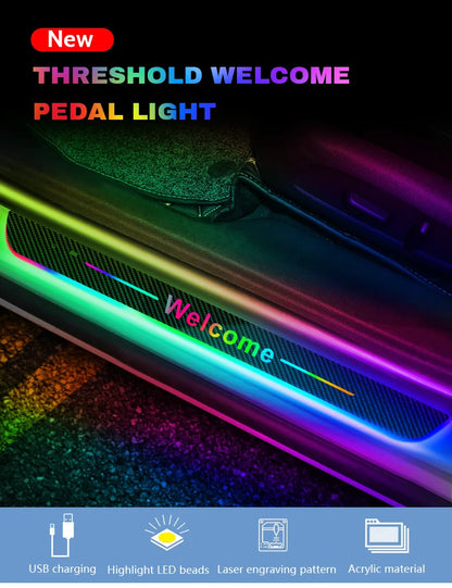 LED Door Sill