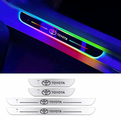 LED Door Sill