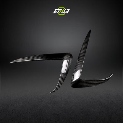 Model 3 Eyelid Canards