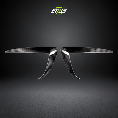 Model 3 Eyelid Canards