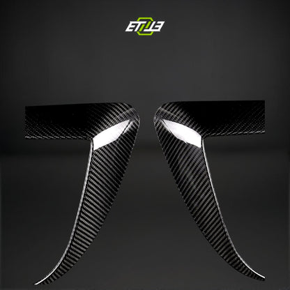 Model 3 Eyelid Canards