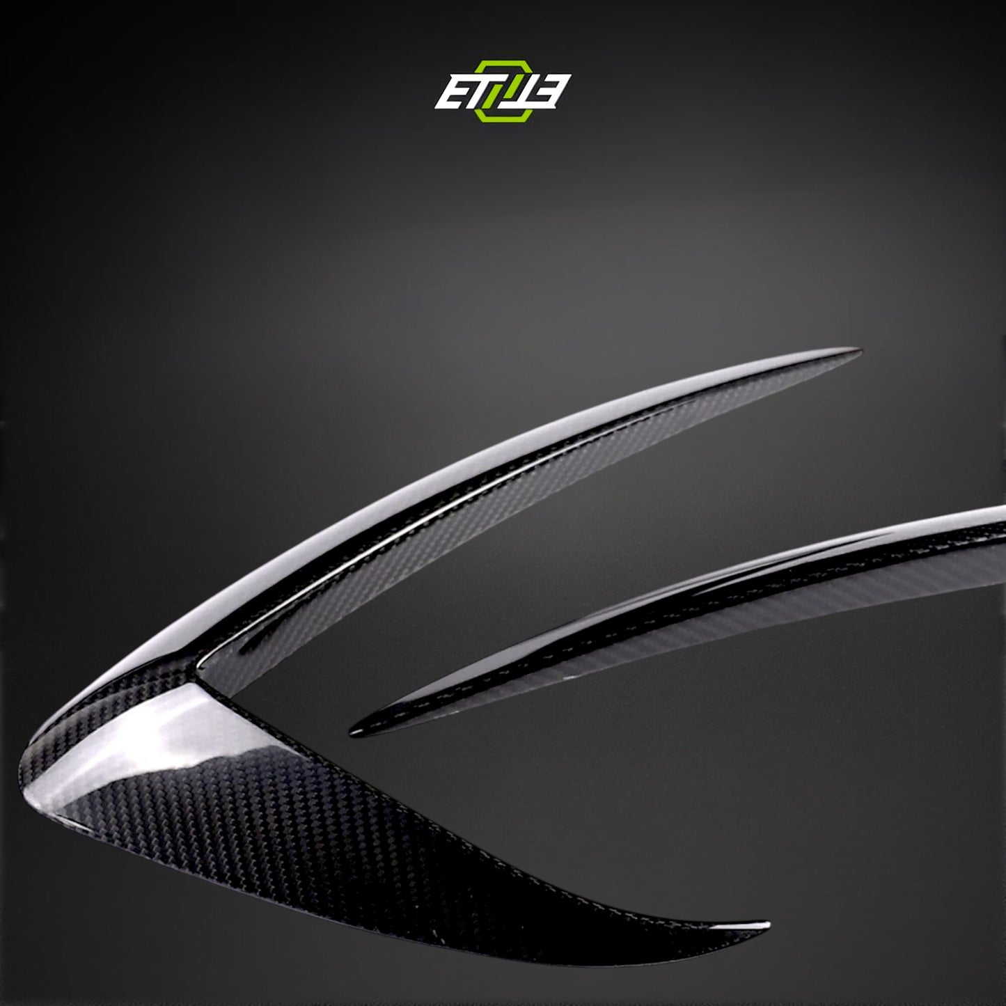 Model 3 Eyelid Canards