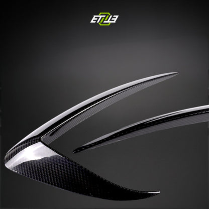 Model 3 Eyelid Canards