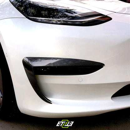 Model 3 Eyelid Canards