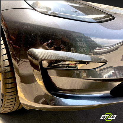 Model 3 Eyelid Canards