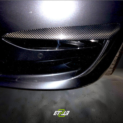 Model 3 Eyelid Canards