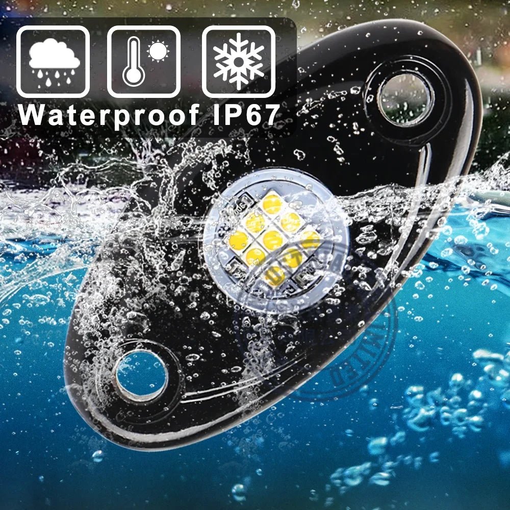 Car LED Accent Lights - Elite Ti